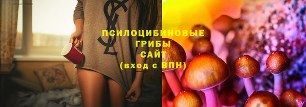 эйфоретик Ельня