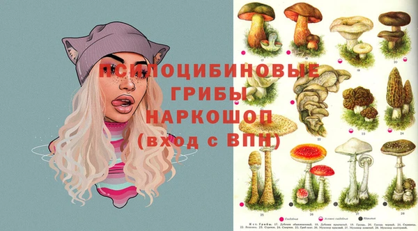 MDMA Елизово