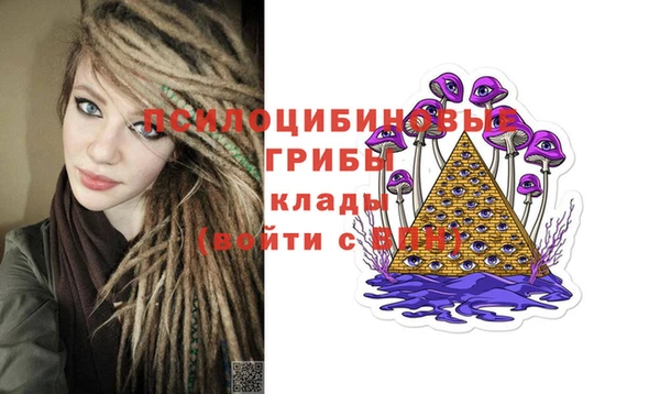 эйфоретик Ельня
