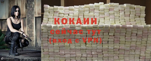 эйфоретик Ельня