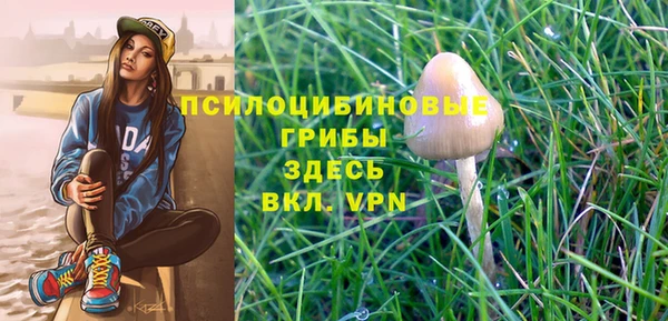 амф Елабуга