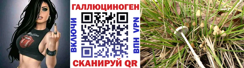 Галлюциногенные грибы MAGIC MUSHROOMS  Купить где  Киренск 